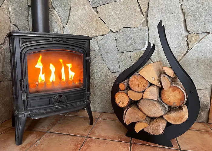 Dans 5 Pieces, 14 Pers, 4 Ch, Wifi, Jardin Prive Les Deux Alpes